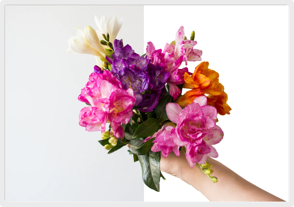 Product background removal demo